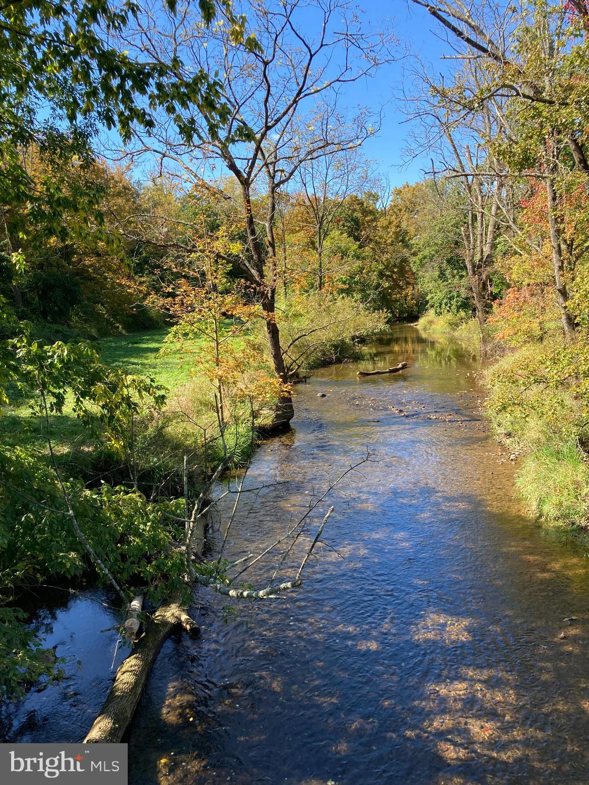 143 Himmelwright Road Barto, PA 19504 - Photo 10 of 47 Stream in the summertime