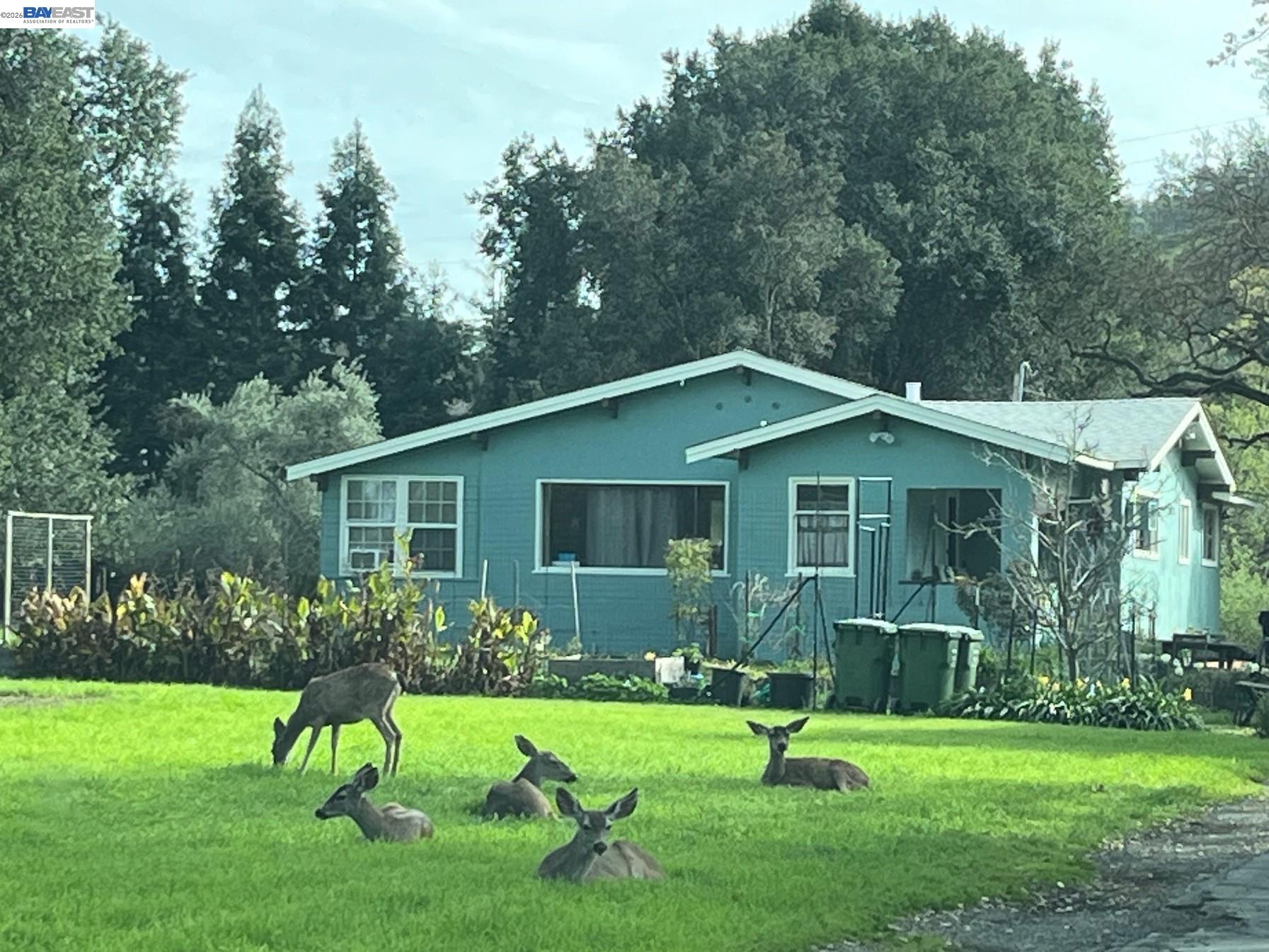 401 Pine Creek Road Walnut Creek, CA 94598 - Photo 2 of 11