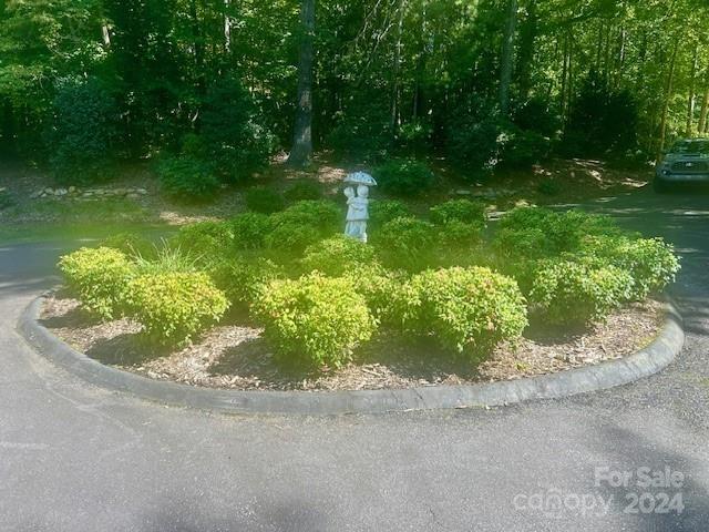 101 Lost Corner Road Morganton, NC 28655 - Photo 11 of 46 Gallery Image 11