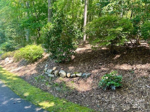 101 Lost Corner Road Morganton, NC 28655 - Photo 10 of 46 Gallery Image 10
