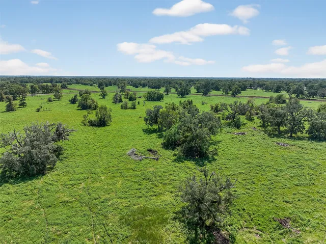 a view of a green field with lots of trees