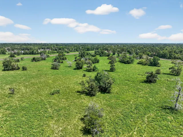 a view of a green field with lots of plants in it