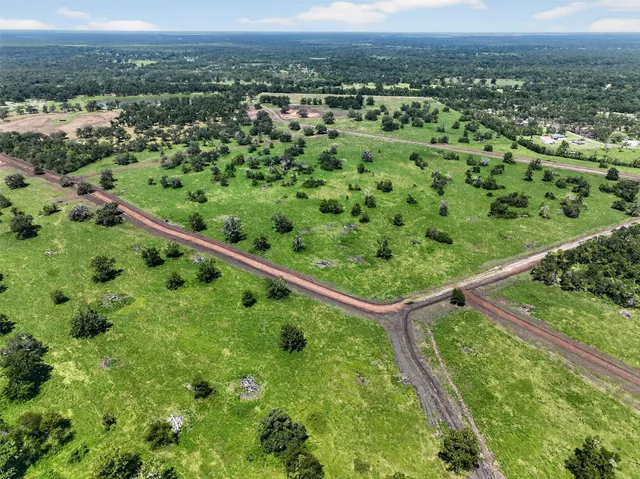 a view of a green field with a lush green forest