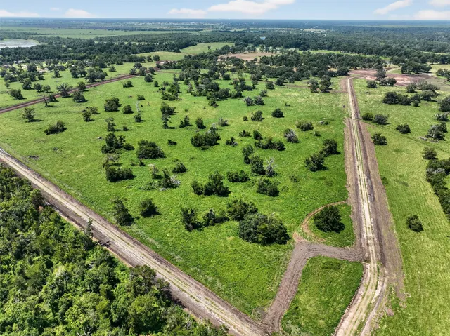 a view of a garden with a mountain view