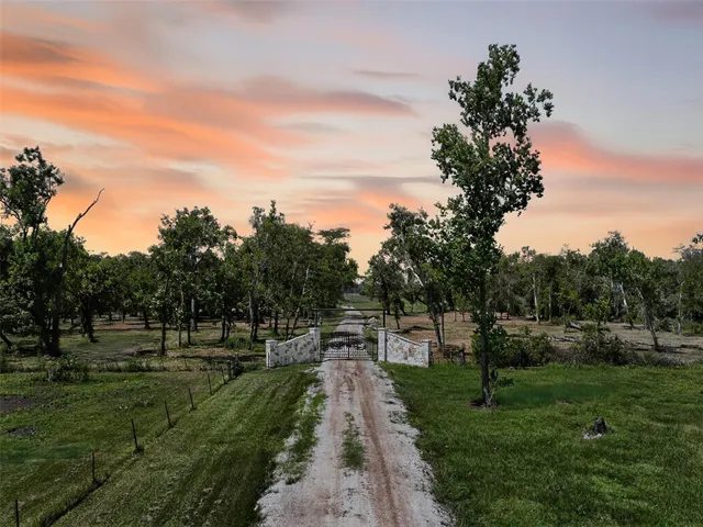a view of park with tree s