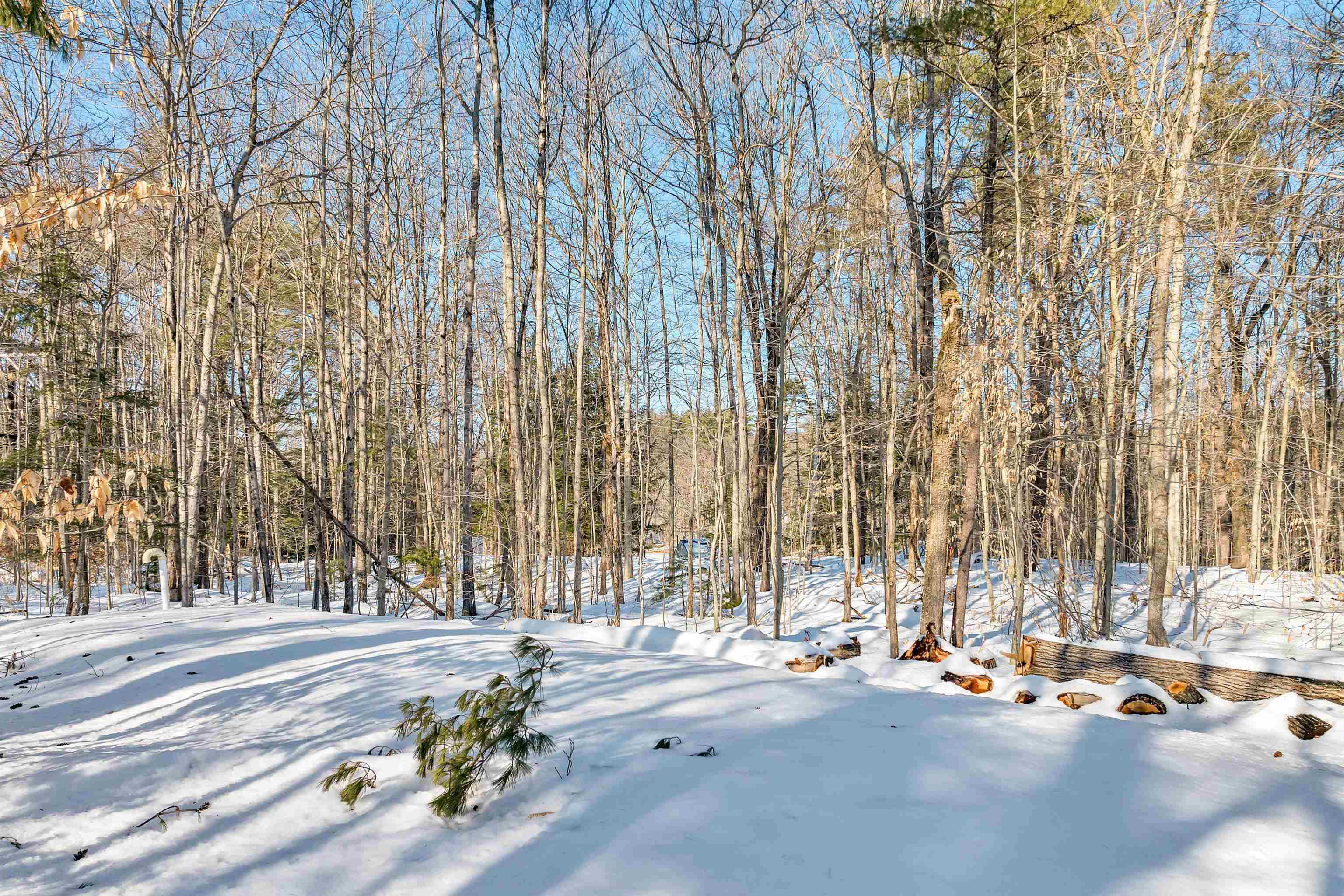 277 Bradley Lake Road Andover, NH 03216 - Photo 21 of 29 Gallery Image 21