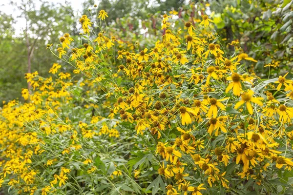 $2,800 | 510 Oakwood Avenue, Durham, NC 27701