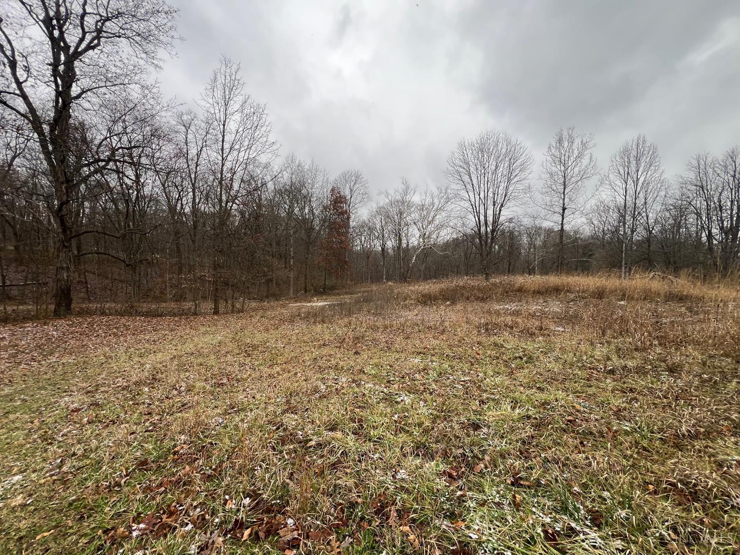Lot #1 Middleboro Road Clarksville, OH 45113 - Photo 3 of 14
