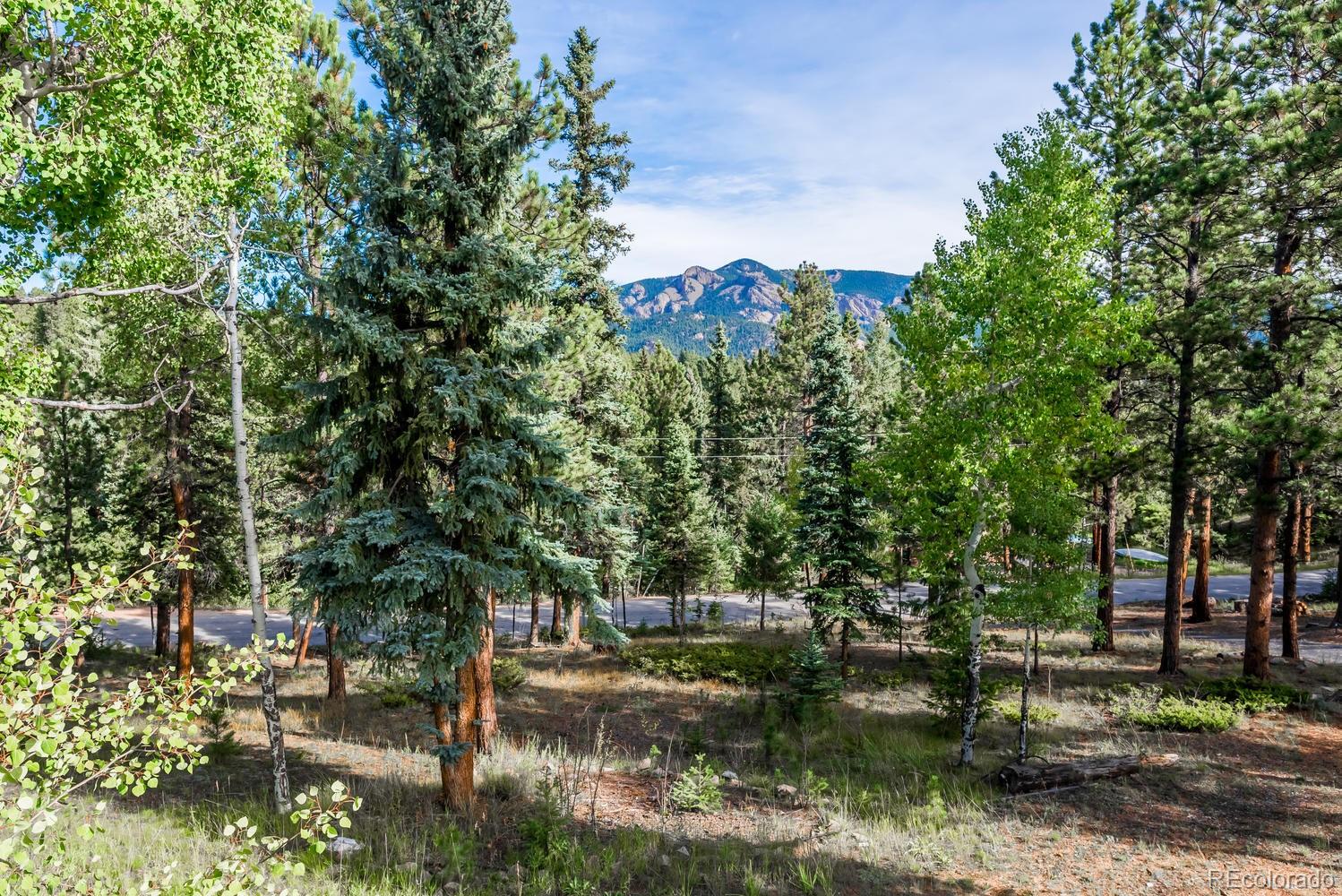 2822 Nova Road Pine, CO 80470 - Photo 27 of 35 Gallery Image 27
