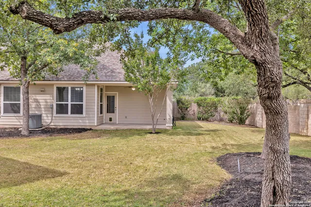 a view of a backyard with a tree