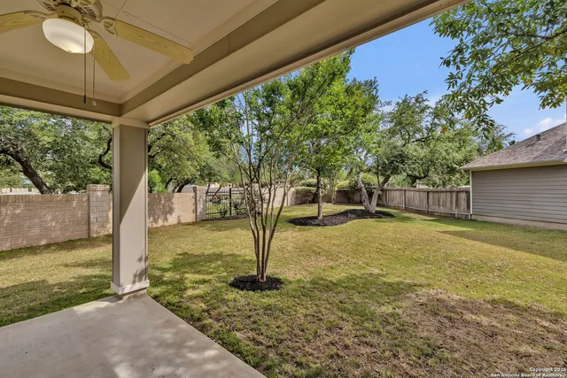 a view of a backyard with a tree