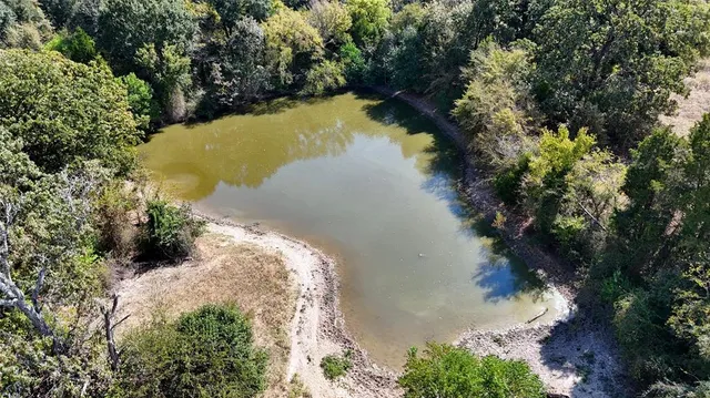 a view of a lake in a forest