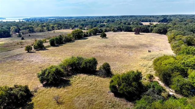 a view of a dry yard with wooden fence