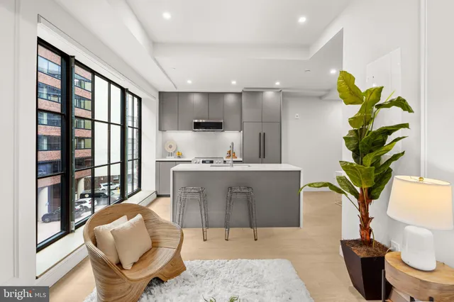 a living room with furniture a potted plant and a large window