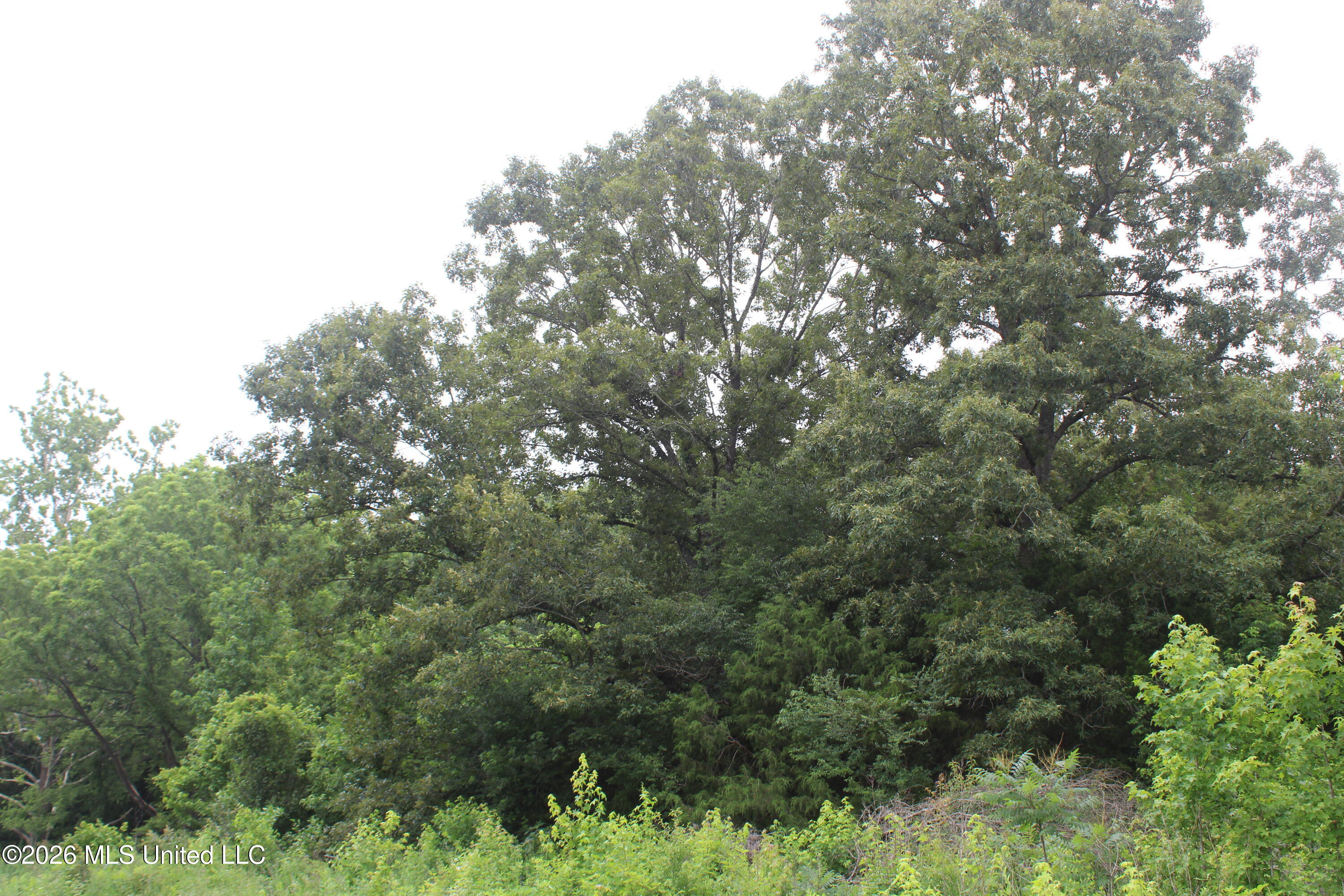 1500 Allen Corner Road Lamar, MS 38642 - Photo 7 of 17 IMG_7975