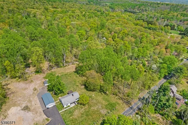 a view of a yard with plants and large trees
