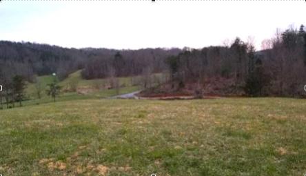 0 Buffalo Run Thaxton, VA 24174 - Photo 1 of 9 Screen Shot 2020-01-29 at 4.07.07 PM