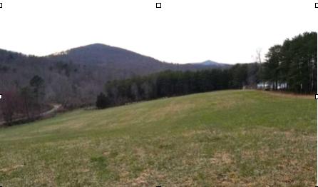 0 Buffalo Run Thaxton, VA 24174 - Photo 2 of 9 Screen Shot 2020-01-29 at 4.09.10 PM