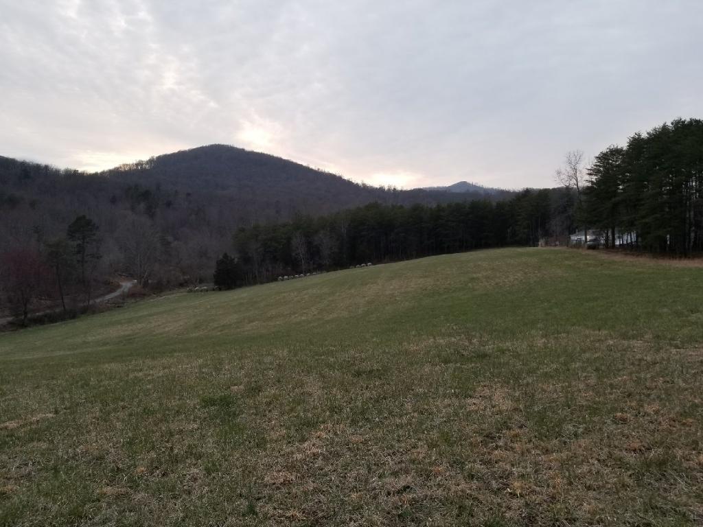 0 Buffalo Run Thaxton, VA 24174 - Photo 3 of 9 IMG_3199