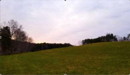 0 Buffalo Run Thaxton, VA 24174 - Photo 4 of 9 Screen Shot 2020-01-29 at 4.01.44 PM