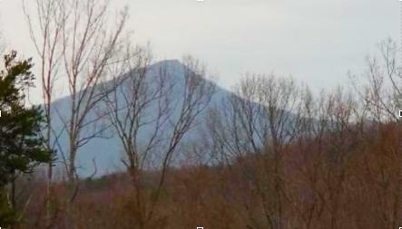 0 Buffalo Run Thaxton, VA 24174 - Photo 6 of 9 Screen Shot 2020-01-29 at 4.04.34 PM