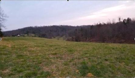 0 Buffalo Run Thaxton, VA 24174 - Photo 7 of 9 Screen Shot 2020-01-29 at 4.05.27 PM