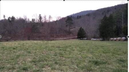 0 Buffalo Run Thaxton, VA 24174 - Photo 8 of 9 Screen Shot 2020-01-29 at 4.06.19 PM