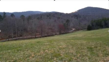 0 Buffalo Run Thaxton, VA 24174 - Photo 9 of 9 Screen Shot 2020-01-29 at 4.07.52 PM