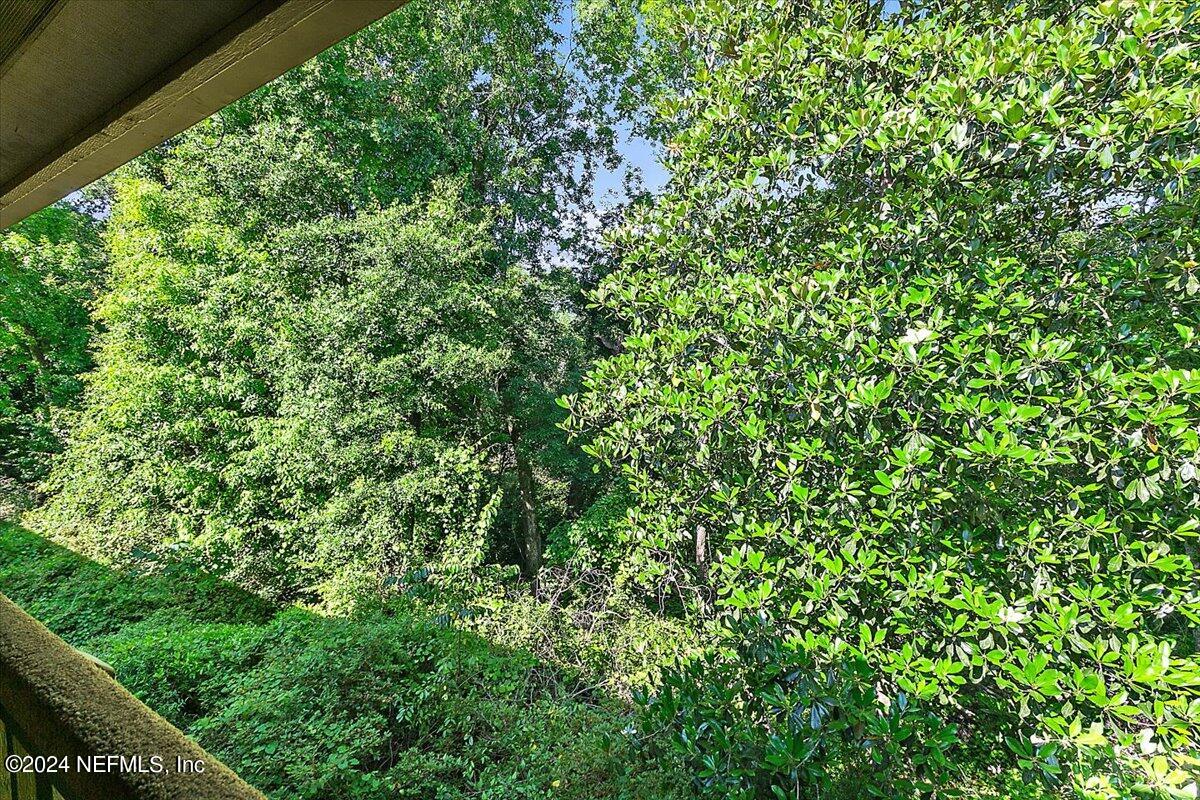 2990 Ravines Road, Unit 1425 Middleburg, FL 32068 - Photo 15 of 15 15-Balcony View