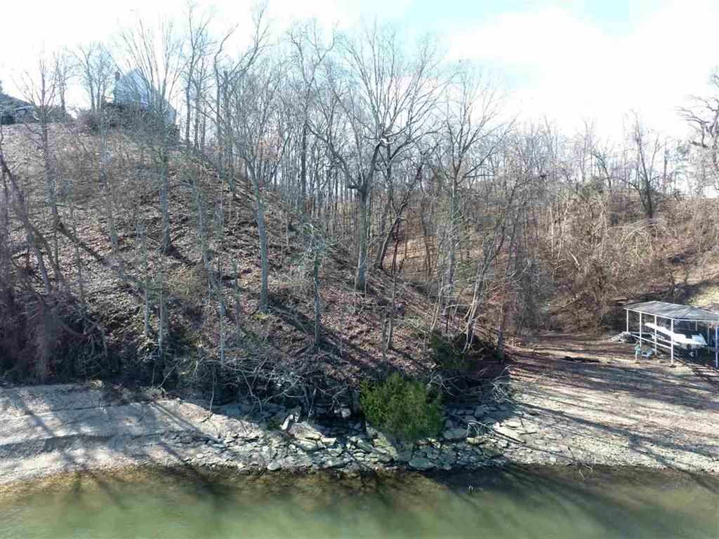85 Edgewater Bay, Unit BAY Counce, TN 38326 - Photo 5 of 7 a view of lake with trees