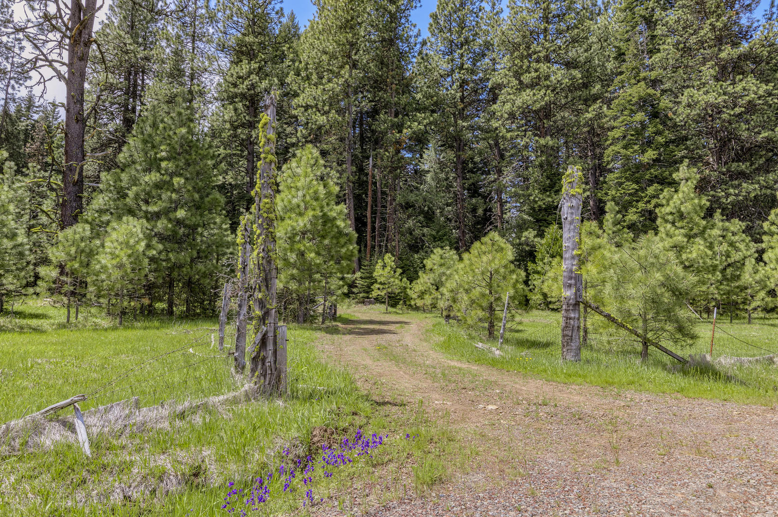 1166 Hyatt Prairie Road Ashland, OR 97520 - Photo 17 of 43 14_HPR_14_mls