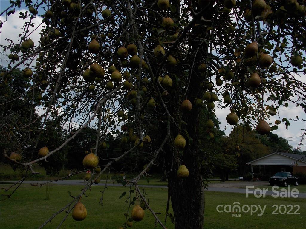 2303 Randolph Road Shelby, NC 28150 - Photo 26 of 47 Gallery Image 26