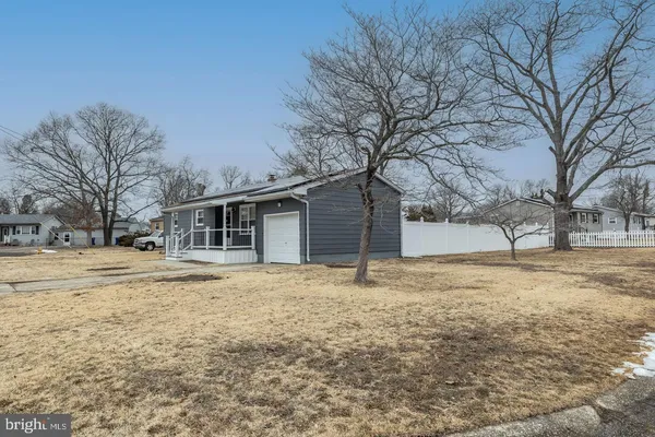 a yard with a large tree