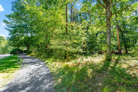 a view of yard with green space