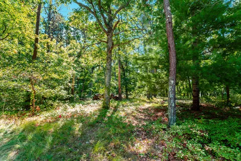 a view of a yard with large trees