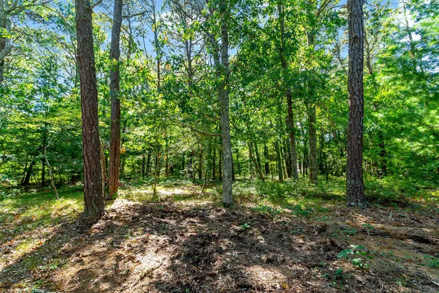 a view of outdoor space and green space
