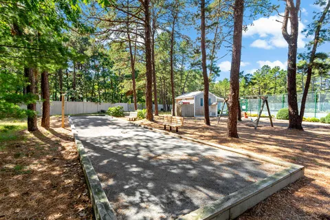 a view of a yard with plants and trees