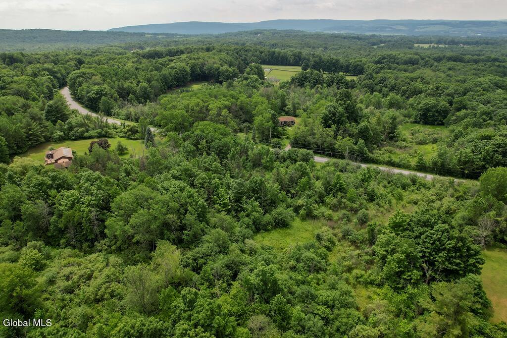 L35 Green Corners Road Amsterdam, NY 12010 - Photo 10 of 10 GreenCorners-20260611-12.11.56-DJI_0433