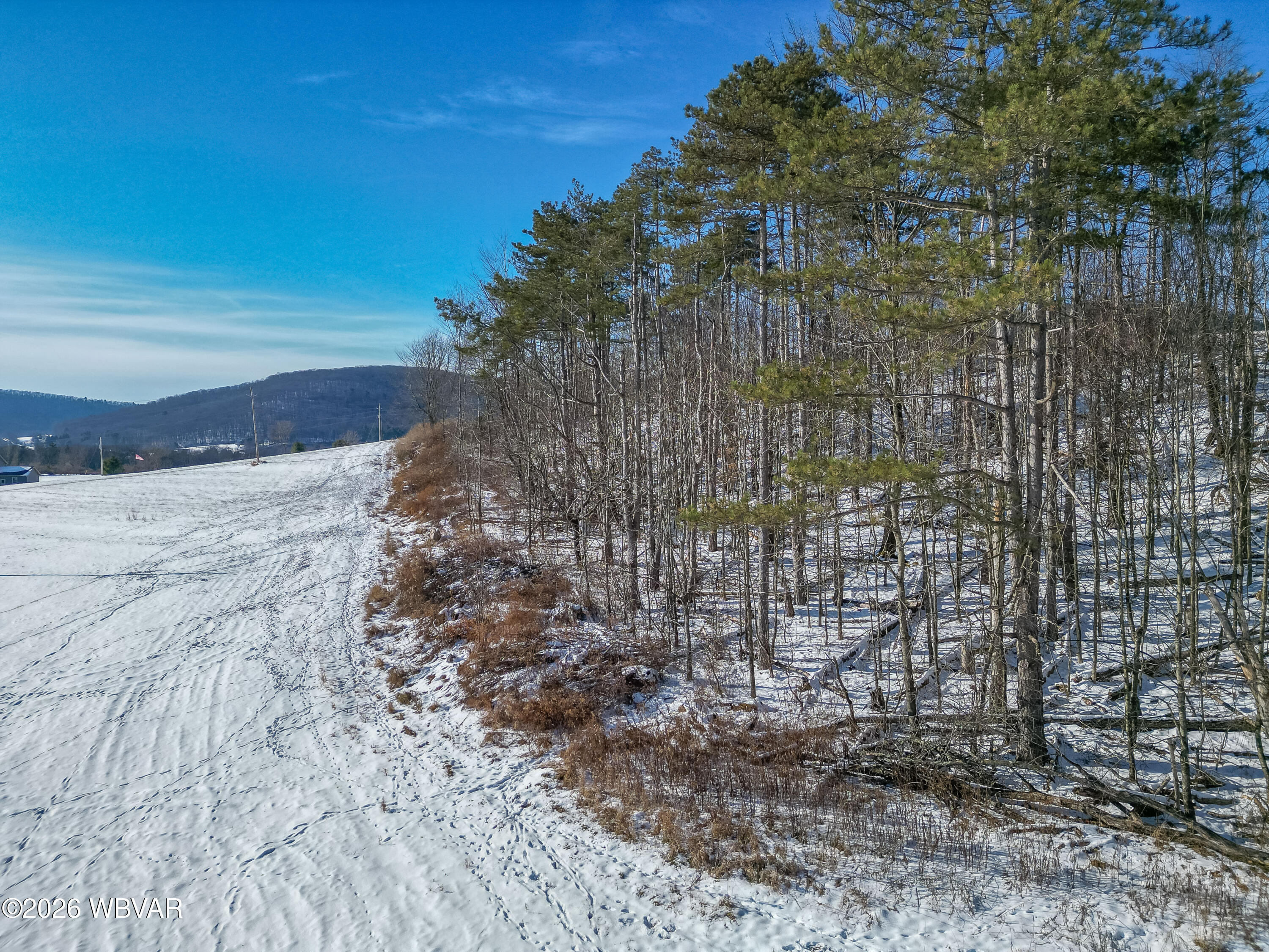 7606 Rose Valley Road, Unit PARCEL 4 Trout Run, PA 17771 - Photo 8 of 12 Gallery Image 8