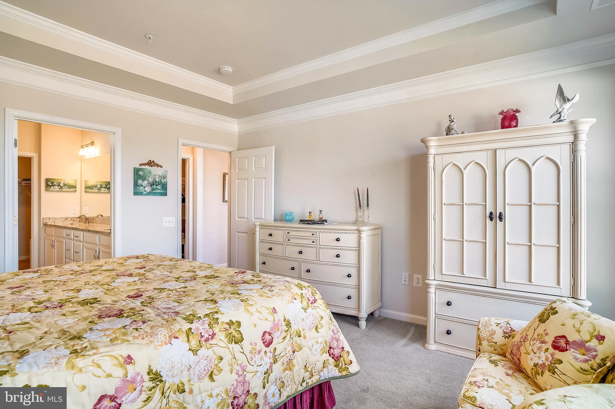 22014 Boneset Way Germantown, MD 20876 - Photo 13 of 18 Owners Suite