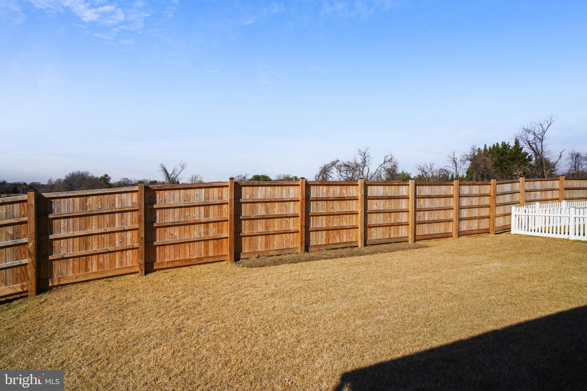 22014 Boneset Way Germantown, MD 20876 - Photo 3 of 18 Backyard
