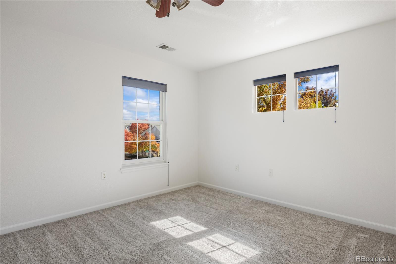 1480 Thunder Butte Road Castle Rock, CO 80109 - Photo 28 of 35 an empty room with windows and painted walls