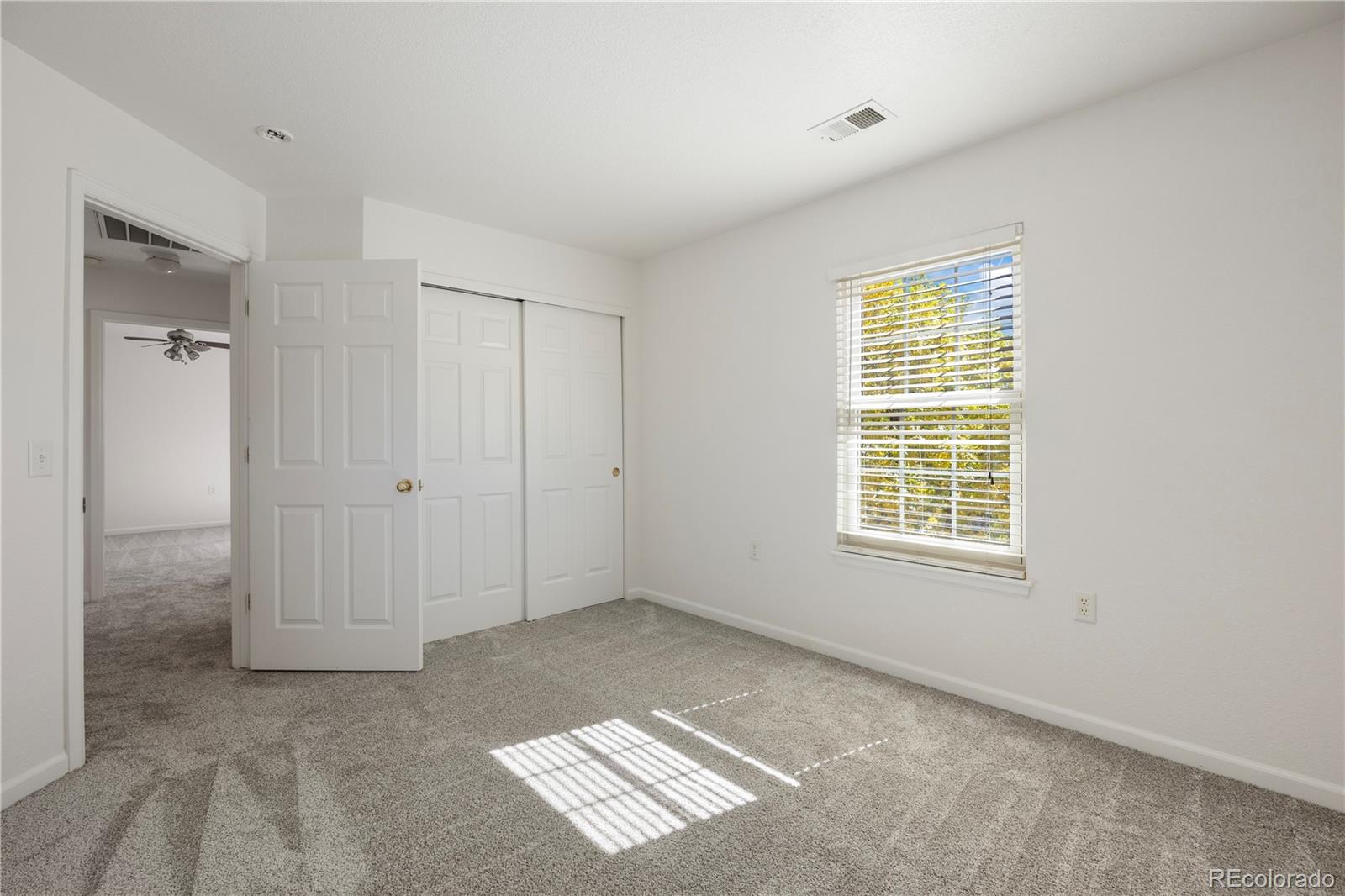 1480 Thunder Butte Road Castle Rock, CO 80109 - Photo 34 of 35 an empty room with windows
