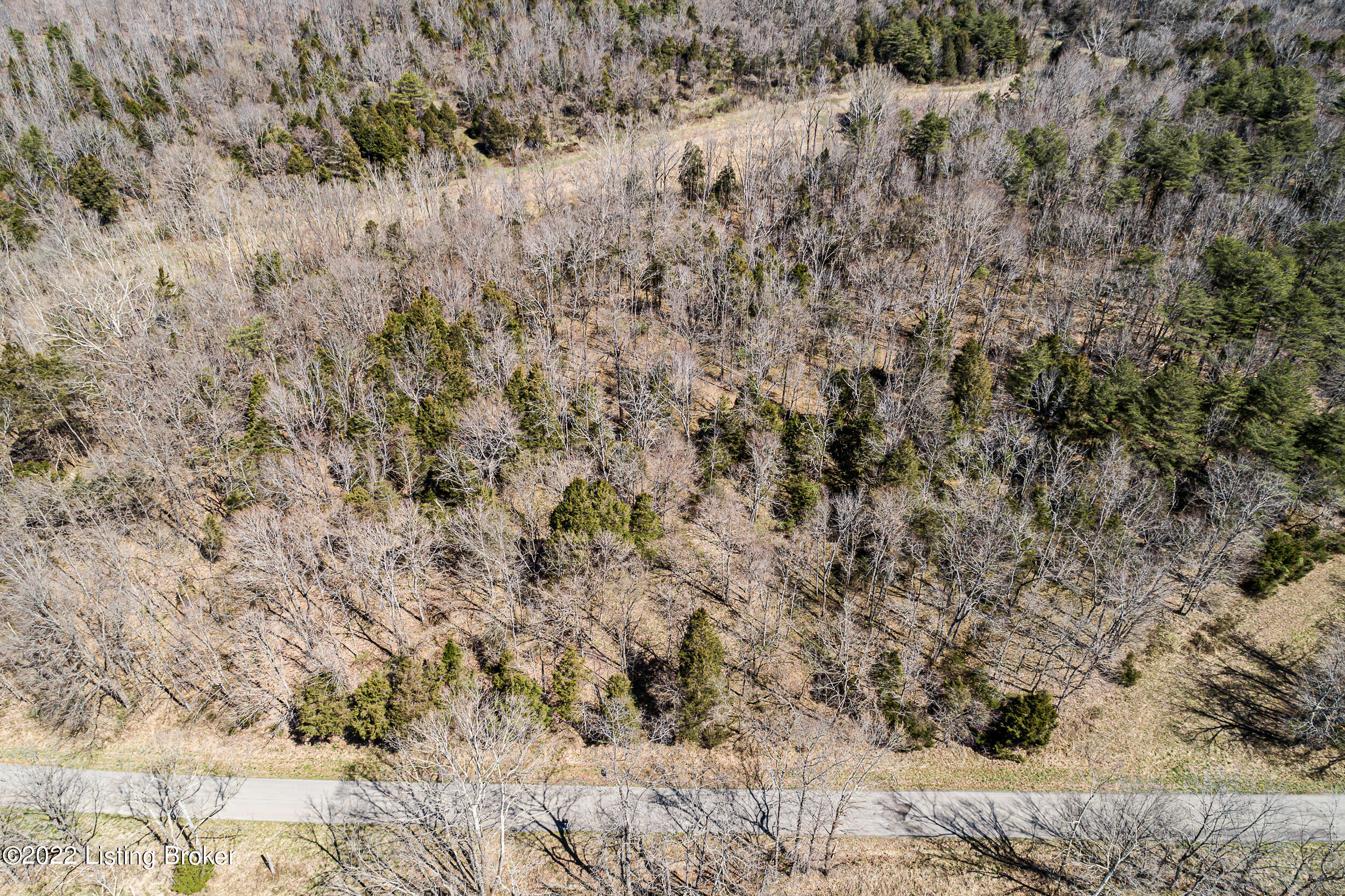 1-2 Patton Road Boston, KY 40107 - Photo 4 of 13 PattonRd003