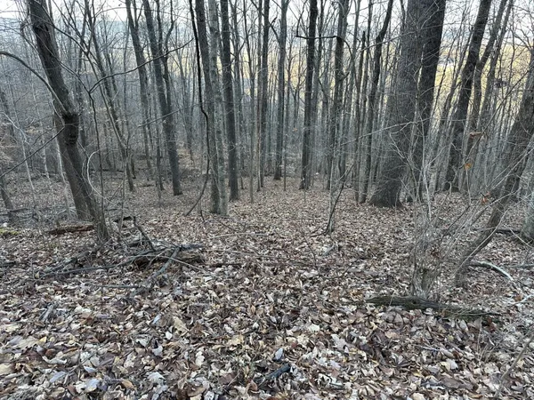 $39,300 | 76 Fox Ridge, Pikeville, TN 37367