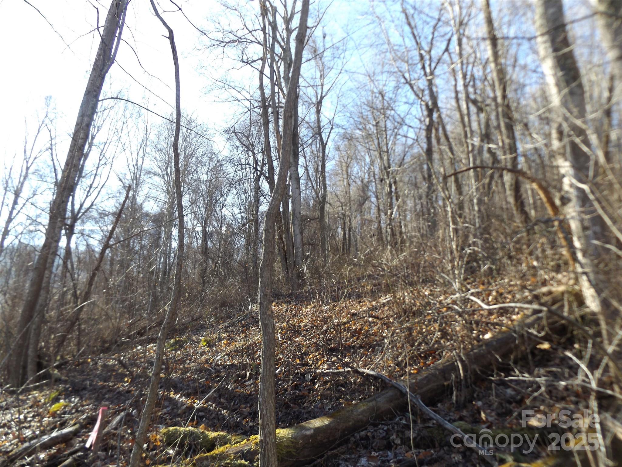 0 Kims Cove Road Canton, NC 28716 - Photo 5 of 14 Gallery Image 5