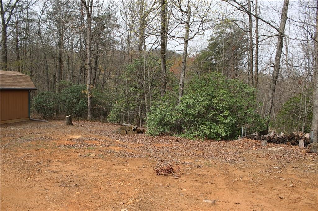 517 Upper Springs Road Pickens, SC 29671 - Photo 11 of 16