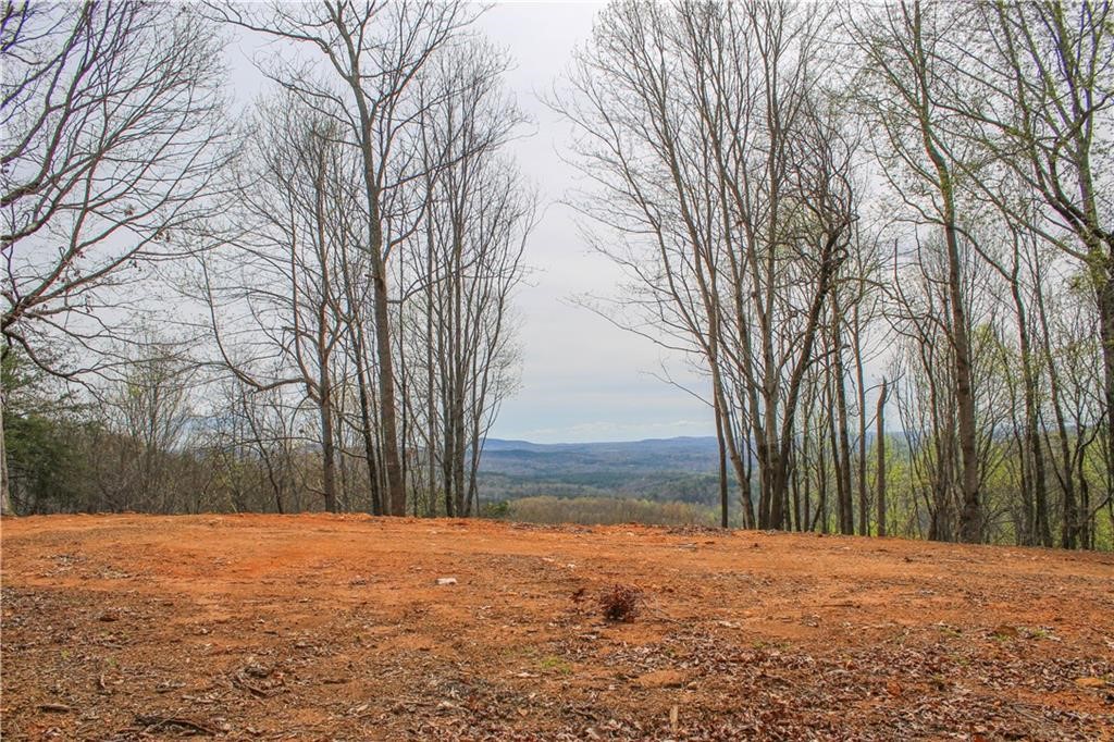 517 Upper Springs Road Pickens, SC 29671 - Photo 12 of 16