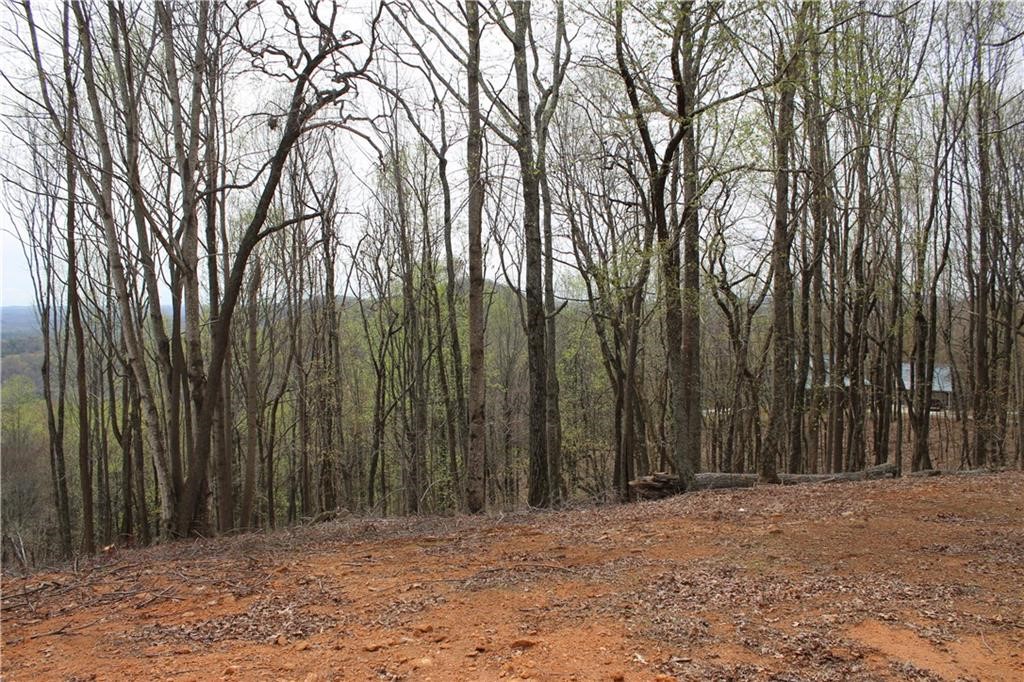 517 Upper Springs Road Pickens, SC 29671 - Photo 15 of 16