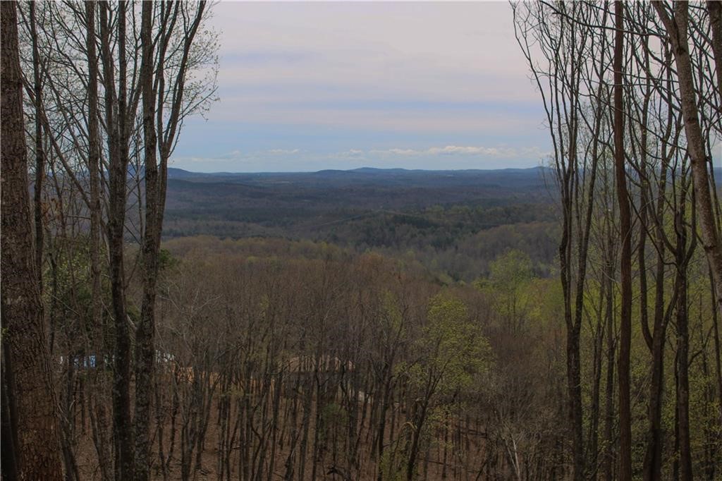 517 Upper Springs Road Pickens, SC 29671 - Photo 2 of 16